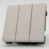 TS-010 3 клавишный 1 полюсный выключатель без рамки（Кашемир-Матовый）