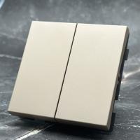 TG-006 2 клавишный 1 полюсный выключатель без рамки（Золото-Матовый）