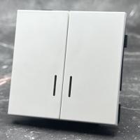 TW-009 2 клавишный проходной  выключатель с LED без рамки（Белый-Матовый）