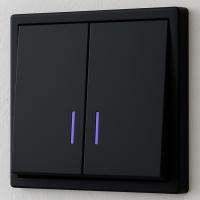 Art MTB-009 2 клавишный проходной  выключатель с LED（Черный-Матовый）