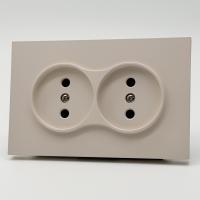 TS-031 Розетка двойная  без заземления 120 без рамки（Кашемир-Матовый）