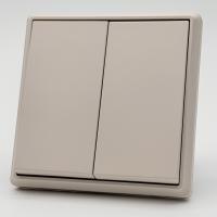 Elegant MTS-006 2 клавишный 1 полюсный выключатель （Кашемир-Матовый）