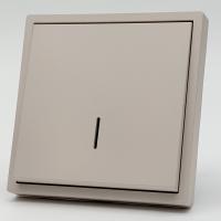 Art MTS-004 1 клавишный 1 полюсный выключатель с LED（Кашемир-Матовый）