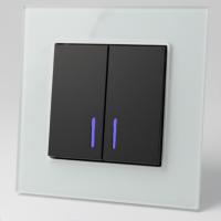 Glass WMB-008 2 клавишный 1 полюсный выключатель с LED（Черный-белый）