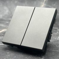 TC-006  2 клавишный 1 полюсный выключатель без рамки（Графит-Матовый）