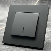 Grace MMB-005 1 клавишный проходной выключатель с LED（Черный-Матовый）