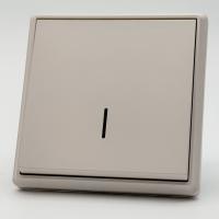 Elegant MTS-004 1 клавишный 1 полюсный выключатель с LED（Кашемир-Матовый）