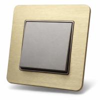 Aluminum MMG-001 1 клавишный 1 полюсный（Золотой）