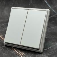 Elegant MTW-006 2 клавишный 1 полюсный выключатель Белый