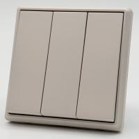 Elegant MTS-010 3 клавишный 1 полюсный выключатель（Кашемир-Матовый）