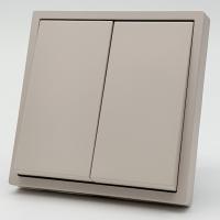 Art MTS-006 2 клавишный 1 полюсный выключатель Кашемир-Матовый