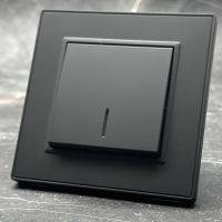 Nature MMB-004 1 клавишный 1 полюсный выключатель с LED（Черный）