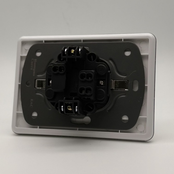 Glass MMW-030 Розетка двойная  с заземлением 120（Белый-Матовый）